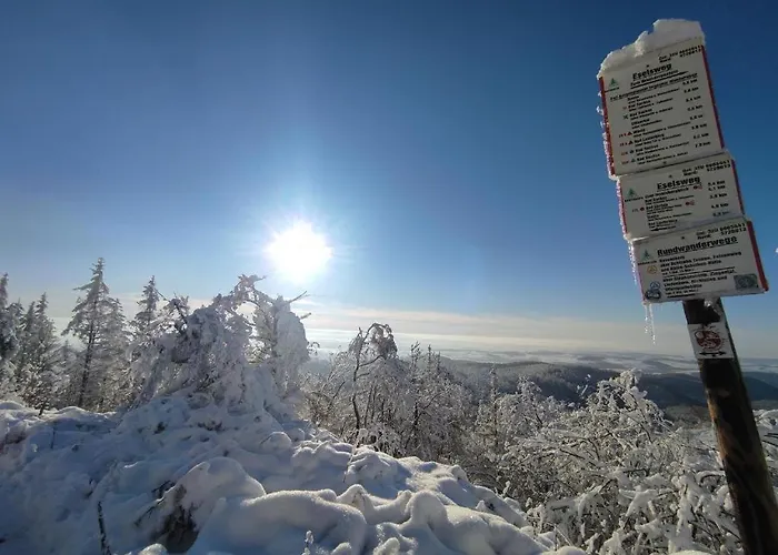 Weisser Burgunder バート・ザクサ