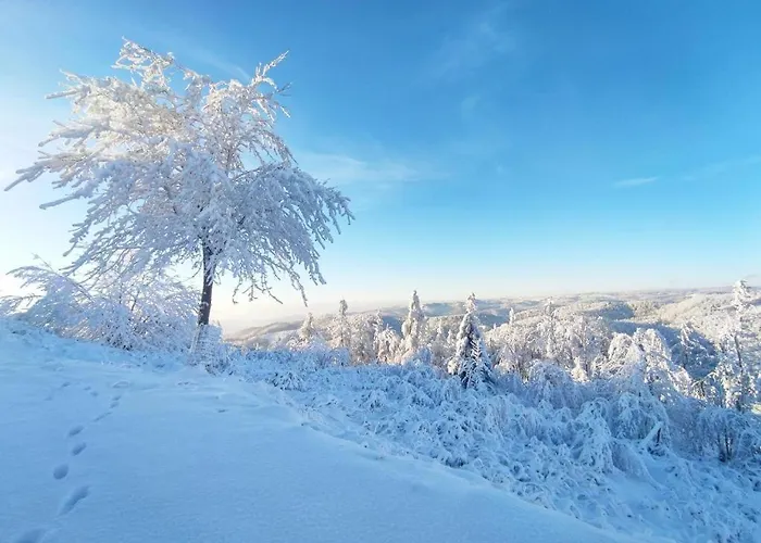 Weisser Burgunder アパート バート・ザクサ